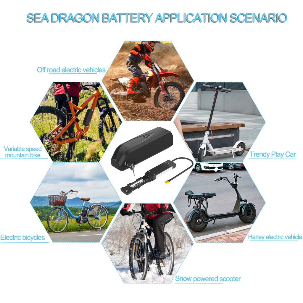 EU Stock Factory Wholesale E-Bike Battery Pack 36V 48V Hailong Electric Bicycle Battery Ebike Battery for Folding Electric Bike