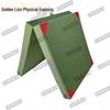 Golden Lion Foldable Gymnastics Training Mat