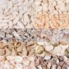 1 Box Sea Shell Spiral Shell Tiny Ocean Spiral Seashell Conch Crafts Aquarium Decoration Landscaping Accessory Photography Props