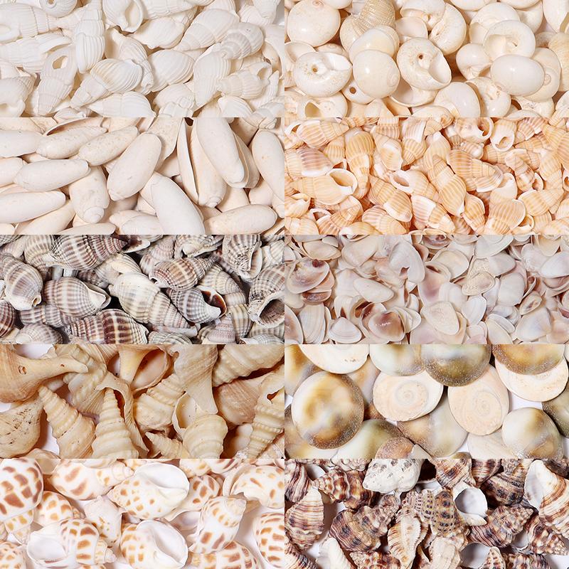 1 Box Sea Shell Spiral Shell Tiny Ocean Spiral Seashell Conch Crafts Aquarium Decoration Landscaping Accessory Photography Props