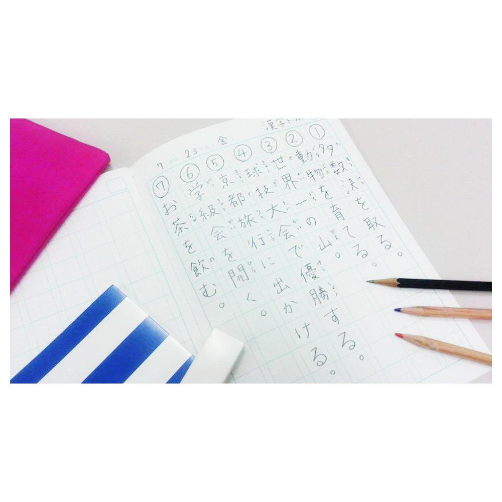 Kyokuto College Animal Kanji Drill Notebook, 104 Characters, B5, LP61, 10 Books