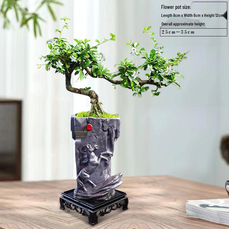 Trailing Fujian Tea Bonsai with Old Trunk – Zen Style Indoor Green Plant for Office & Living Room