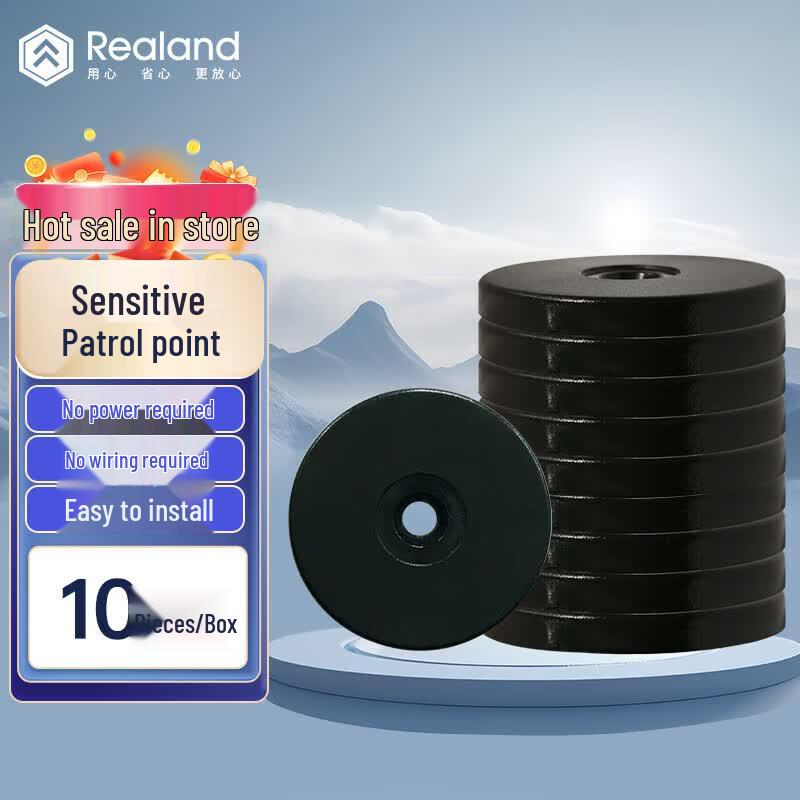 Realand RFID Patrol Checkpoint Tags CN plug (adapter included)