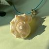Conch Pendant Collarbone Necklace Crafted Of Shell and Cord Portable Jewelry for Women Beach Styles Accessory