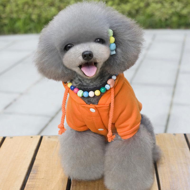 Fleece Mikina pro Psa s Kapsou - Podzim/Zima Teddy Sportovní Oblečení