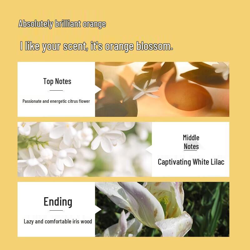 Baitie Ingwer Haarstärkendes & Öl-Kontroll-Shampoo