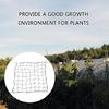 Trellis Net for Grow Tent Flexible Grow Tent Netting Small Square Elastic Trellis Netting Plant Net Scrog Support