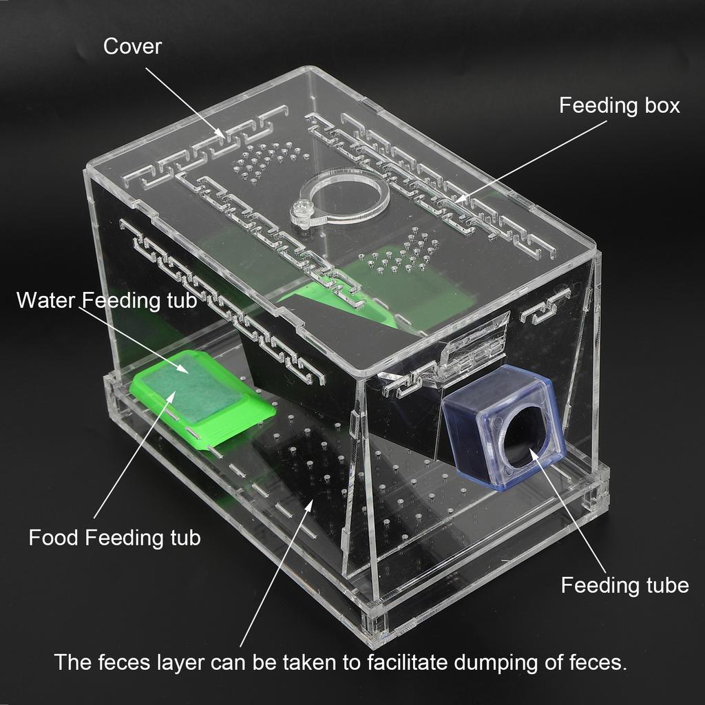 Acrylic Feeding Cricket Pen with Tubes Insect Cockroach Care Kit Reptile Box