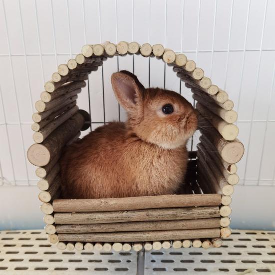 Kaninchen Haus Zähneknirschen Natürliche Holz Zweige Weben Hütte Chinchilla Nest Hamster