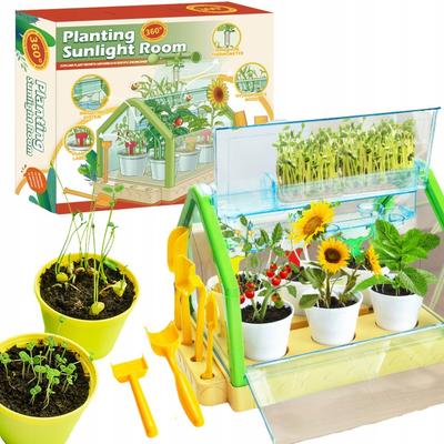 Educational Kit Experiment Greenhouse Mini Garden Real Growing Flowers