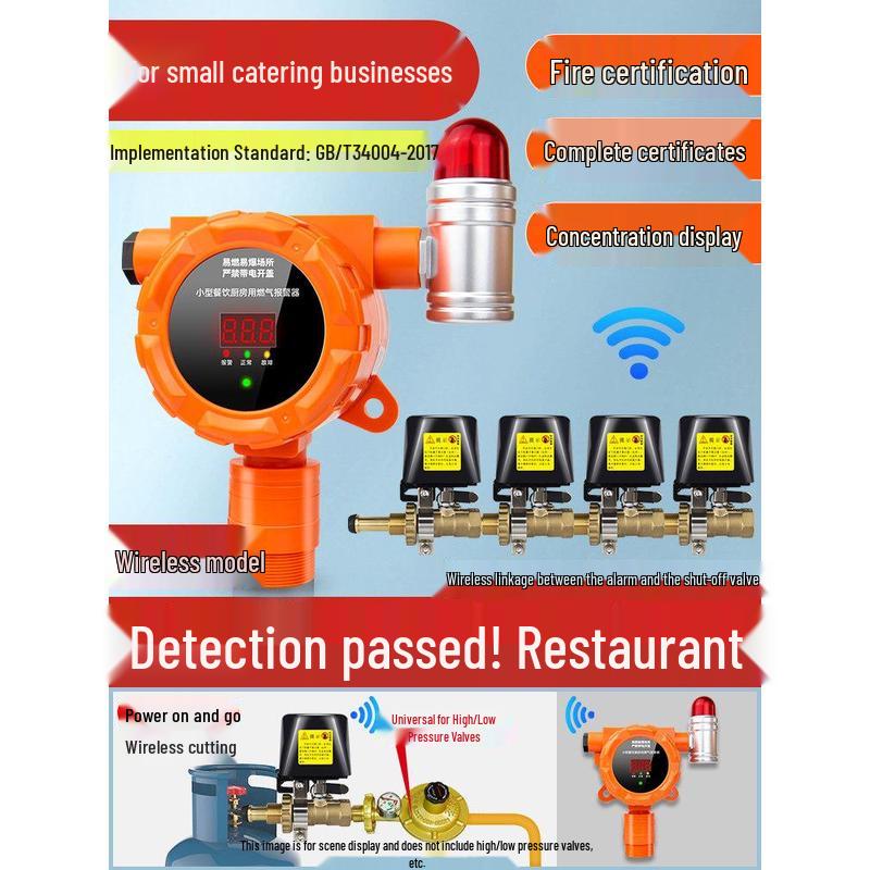MDNG Baorui Combustible Gas Alarm with Auto Shut-off CN plug (adapter included)