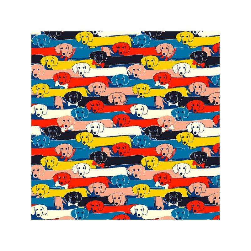 Funny Colorful Poster with Bone Taxa, Canvas, Painting, Abstract Animal, Dog, Wall Art for the Living Room, Decoration for the House, No Frame