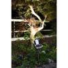 Brushed Stainless Steel Solar Powered Spotlight - GALIX - 0.29W - 30 Lumens - 8h Lighting
