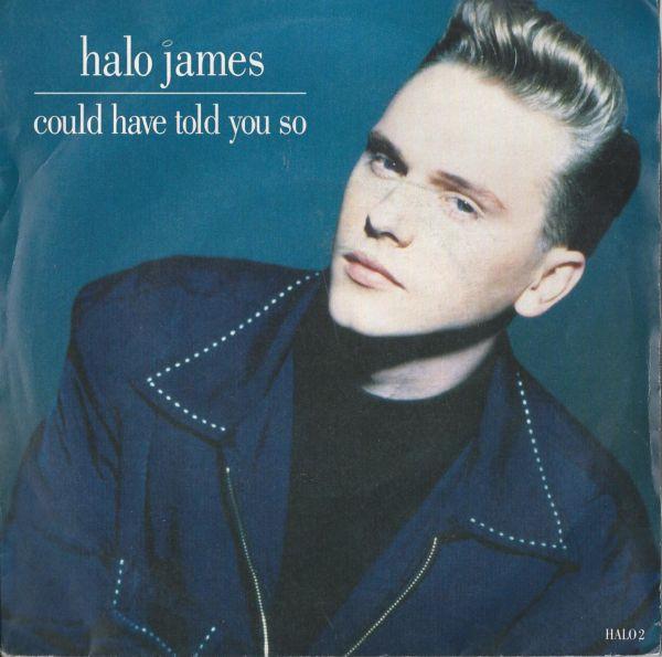 

7inch Record HALO JAMES - Could Have Told You So HALO2 Epic 1989 UK Pop Used