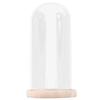 Micro Landscape Flower Glass Cover Eternal Transparent Dustproof Glass Dome 9x15cm Wooden Base DIY Valentine Gift