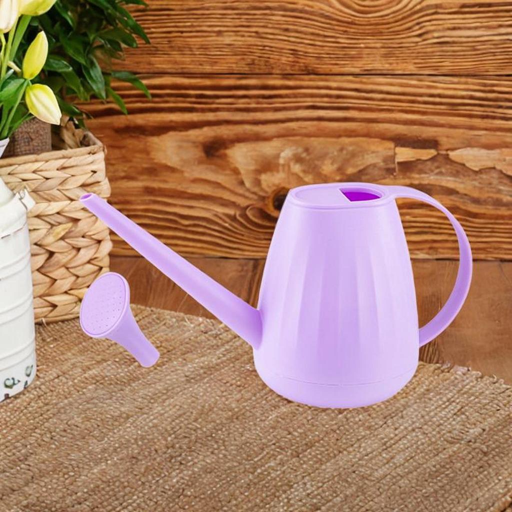 2L Watering Can with Practical Ergonomic Handle, Gardening Tools, Garden Watering Can for Flowers, Watering Plant