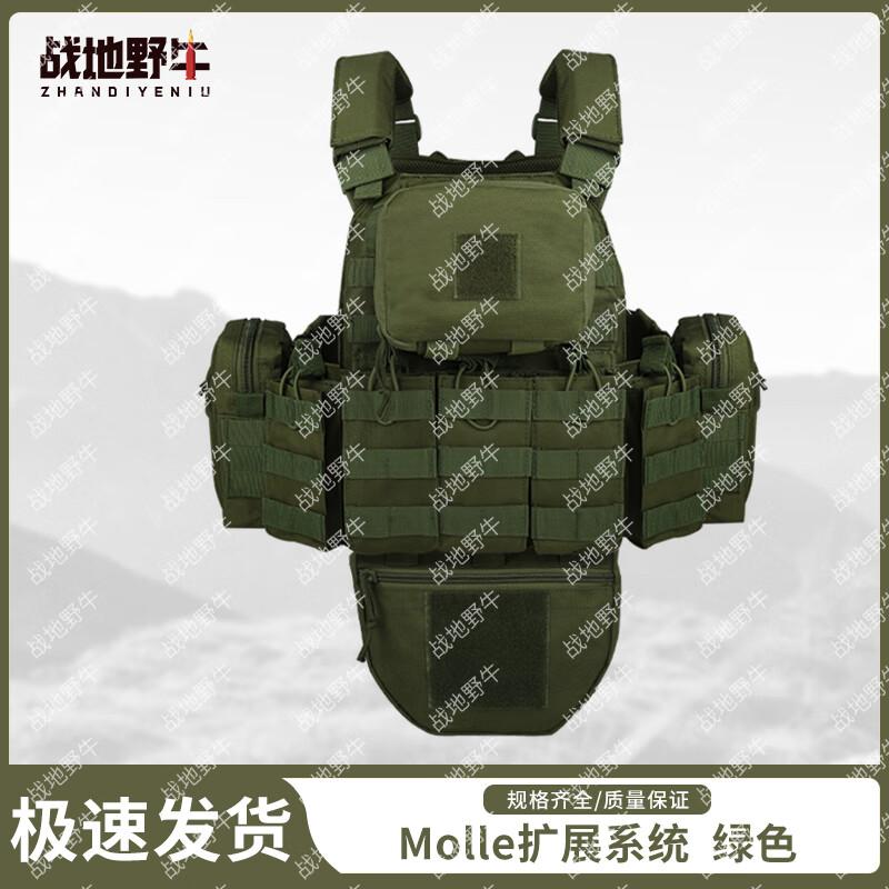 Tactical Molle Vest