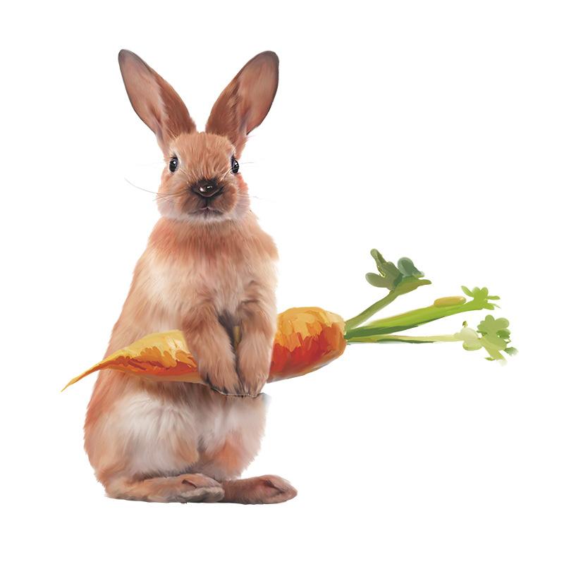 

Cute Rabbit with Carrots Wall Sticker for Kids Room Hallway Commercial Decor Removable Self-Adhesive Decal 39x40cm різнокольоровий