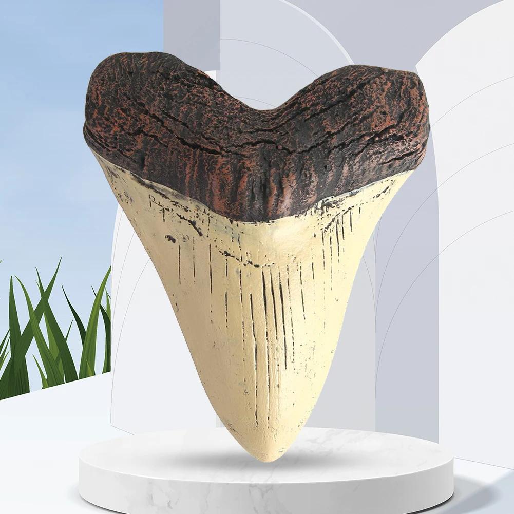 Haifischzahn Modell 5 Zoll Riesiger Megalodon Zahn Leicht zu Reinigen Haifischzahn Replik Meeresbiologie Lehr-Requisiten Zähne Fossilien Geschenke