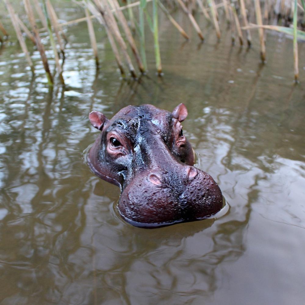 Funny Floating Hippopotamus Ornaments Resin Craft Animal Figurines Decoration  Garden Lawn Pond