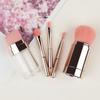 Travel Portable 5 Makeup Brush Set Removable 5-in-1 Loose Powder Brush Eyeshadow Brush Beauty Tool Explosion