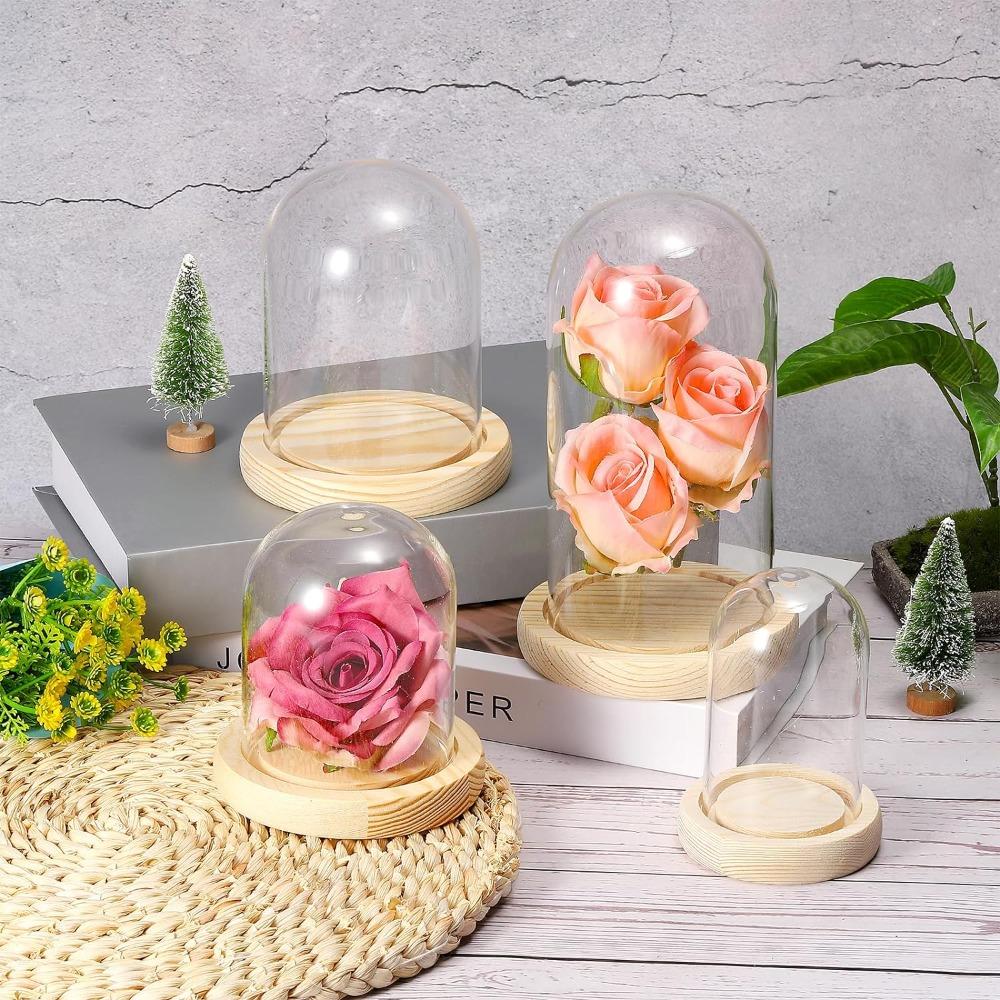 Tabletop Centerpiece Glass Bell Shape Dome with Wooden Base Bell Jar Display Case  Home Decor