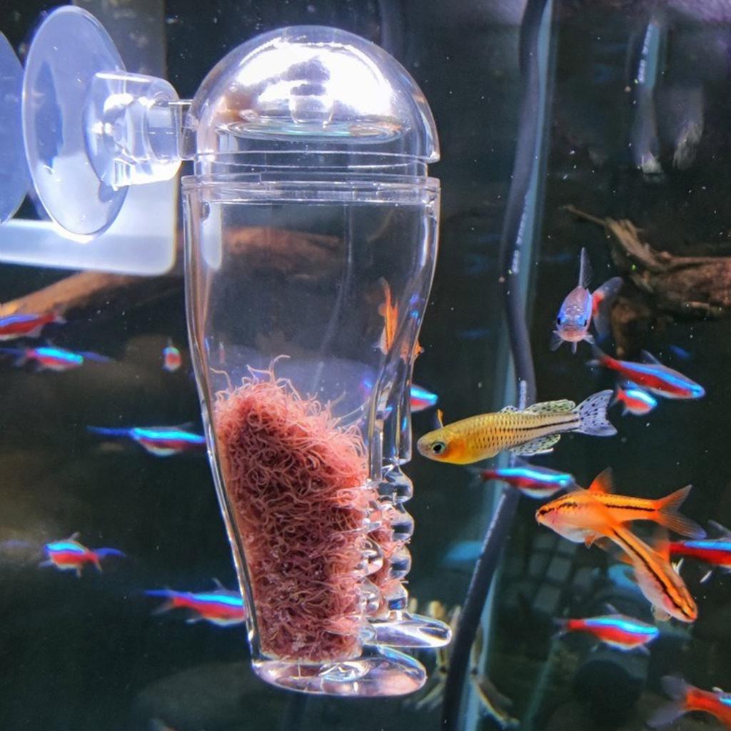 Akryl Sneglefelle for Akvarier Sugekopp Klar Skadedyrfanger Multifunksjonell Rødormmater Planariafelle