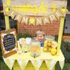 Lemonade Stand Banner for Kids – Rustic Lemonade Banner Sign for Lemonade Stand Supplies, Lemonade Party Decorations, Outdoor Lemon Stand Decor for