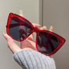 Women Cat Eye Sunglasses Trendy Retro Large Frame UV400 Resin Lens Fashion Sun Glasses for Women