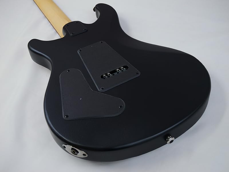 Paul Reed Smith(PRS) SE Swamp Ash CE 24 LTD 3S Sandblasted (Blue)