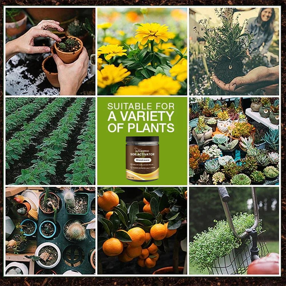 120g Estimulador de Raíces-Fertilizante Para Plantas de Interior y Exterior Revitaliza Suelos, Estimula el Crecimiento Salud Floreros Crecimiento Fertilizar