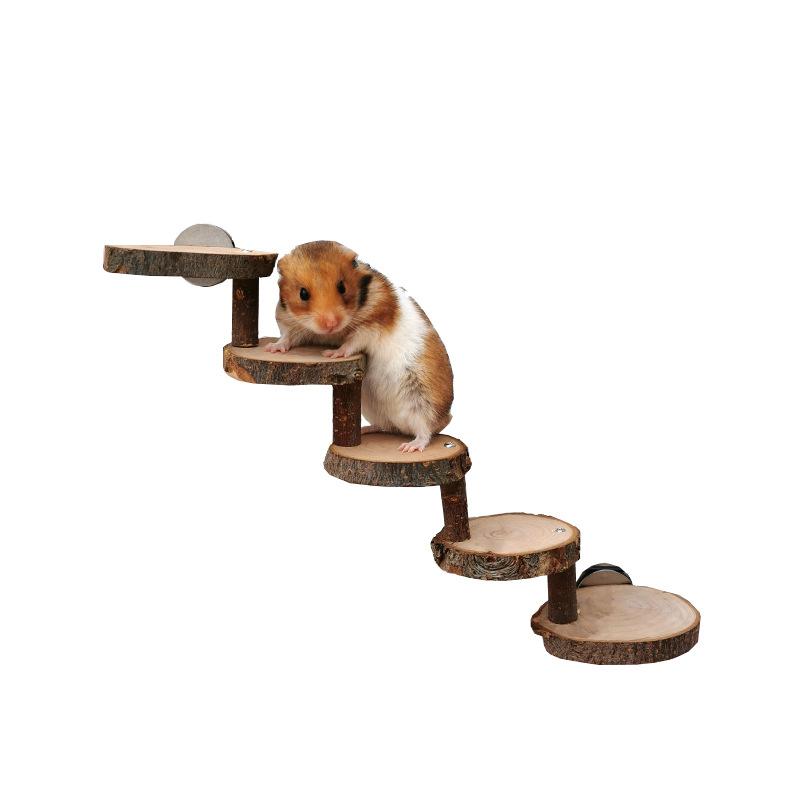 Hamster Wooden Climbing Ladder Teething Steps Golden Silk Bear Apple Wood Chew Toys Honey Possum Tree Rat Habitat Decorations