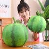 Soft And Cuddly Watermelon Plush Pillow Blanket For Office Nap
