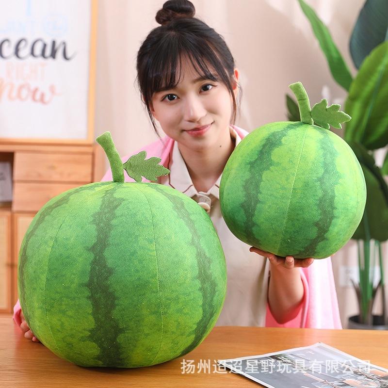 Soft And Cuddly Watermelon Plush Pillow Blanket For Office Nap