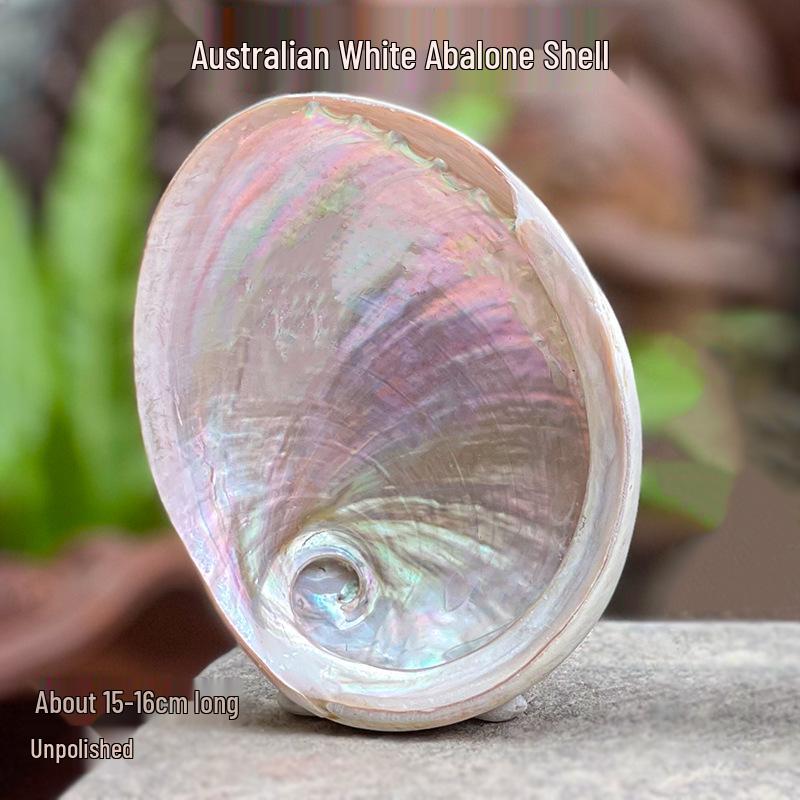 White Sage, Blue Sage, Cedar Stick, Palo Santo, Incense Tower, and Abalone Shell Set