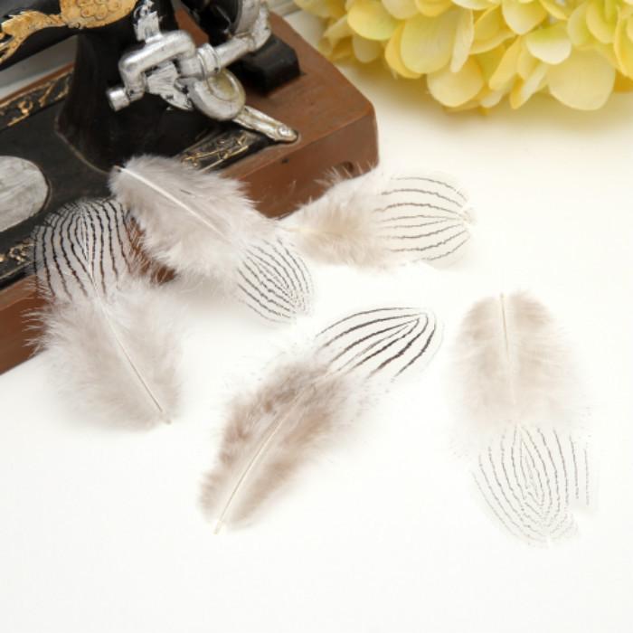 50Pcsdiy Jewelry Accessories Feather Diy Feather Headdress Corsage Hat Shoes Handicrafts Decorative Materials