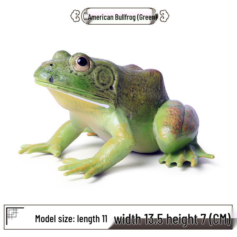 Realistic Animal Model: Large Bullfrog, Tree Frog, Toad - Children s Educational Toy