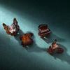 CHIMERA 4-Piece Hair Claw Clips, Air Bangs Hair Claw, Top and Side Acetate Board Hair Clips