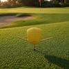 Golf Training Ball with Radial Rods Tactile Swing Aid Compact