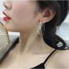 Fashion Earrings Female Europe and The United States Atmosphere Full Rhinestone Super Flash Earrings Temperament Personality Earrings Tide.