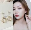 Fashion Long Ring Pendant Zircon Earrings Simple Temperament Wild Design Sense Female Trend Ear Zircon Exquisite Girl Gift