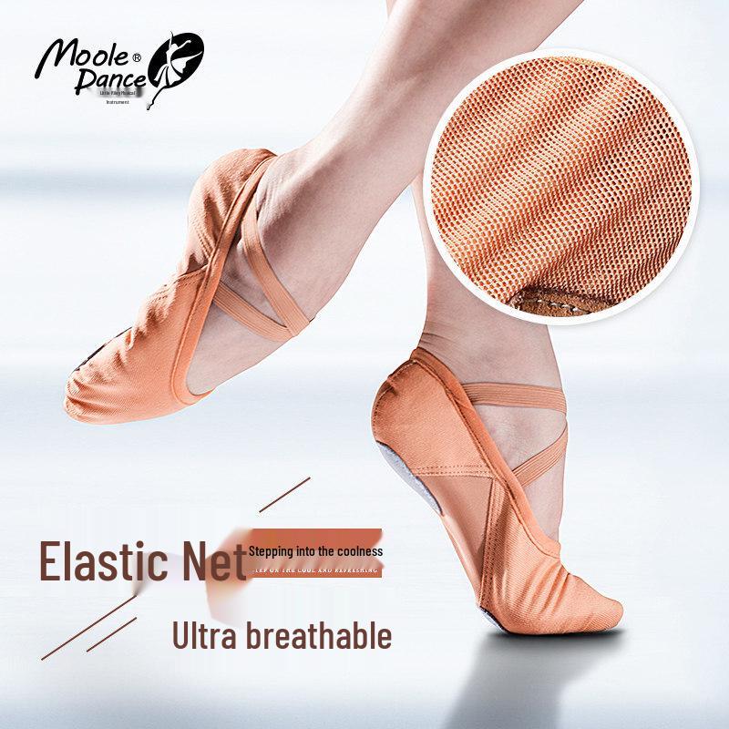 

Jasmine Women s Ballet Dance Shoes 40