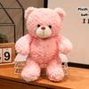 1PC Super Cute Soft Cartoon Teddy Bear Plush Toy, Birthday Party and Home Decoration