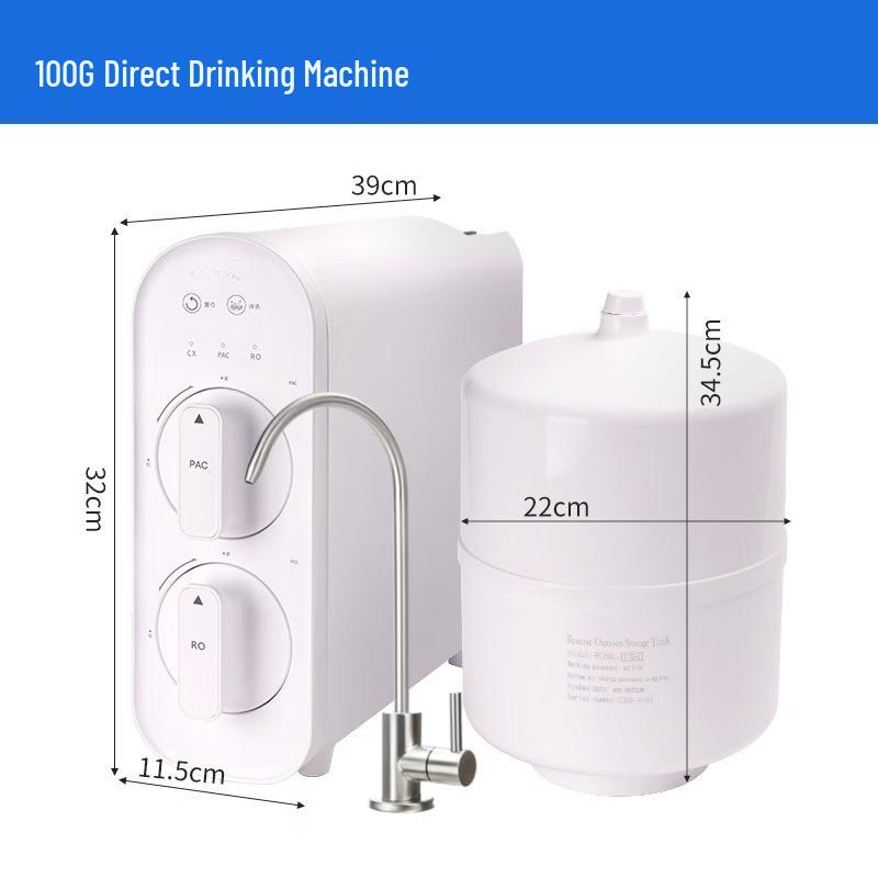 LISM 100G RO Direct Drinking Water Purifier