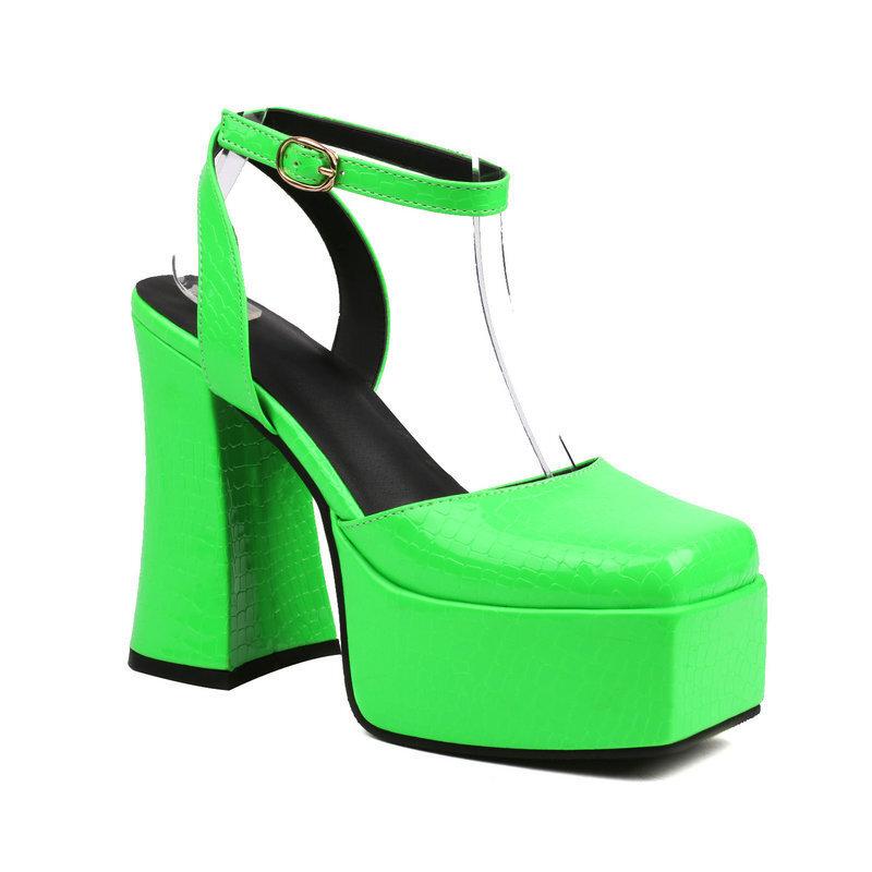 Mary Jane Thick Heel High Heels Female New Fairy Wind Waterproof Table French Square Head One Word Buckle Belt Single Shoes
