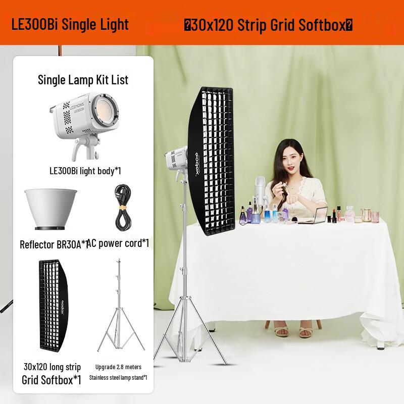 Godox LE300Bi Bi-color LED Video Light