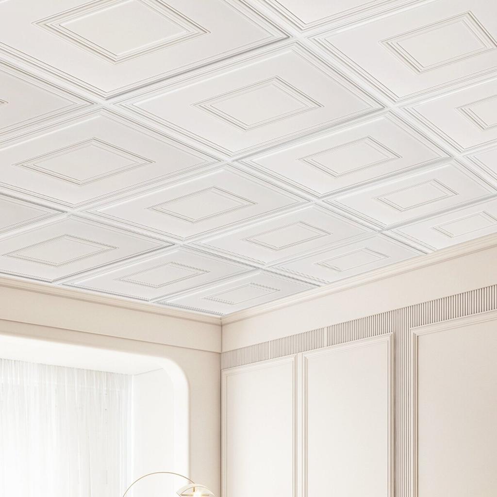 Ceiling Tiles 12-Pack 24 X 24 In PVC Easy Installation White Geometric