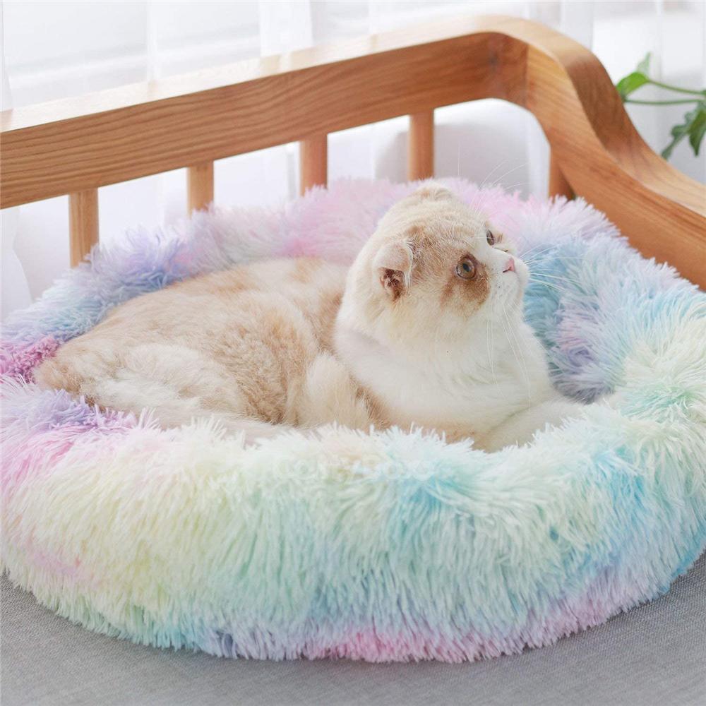 pet bed with blanket