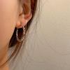 Hook Piercing Round Ring Earrings Ear Decor Ear Jewelry Accessories Circular Earrings Women  Ladies