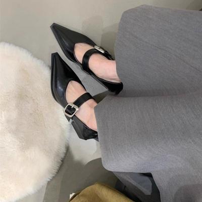 Spring New Pointed Mary Jane Shoes Shallow Mouth One Word Belt Buckle Retro Versatile Thick Heel Single Shoes Women's Shoes